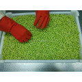 Supply Frozen Vegetables IQF Green Soybeans Peeled Blanching Edamame